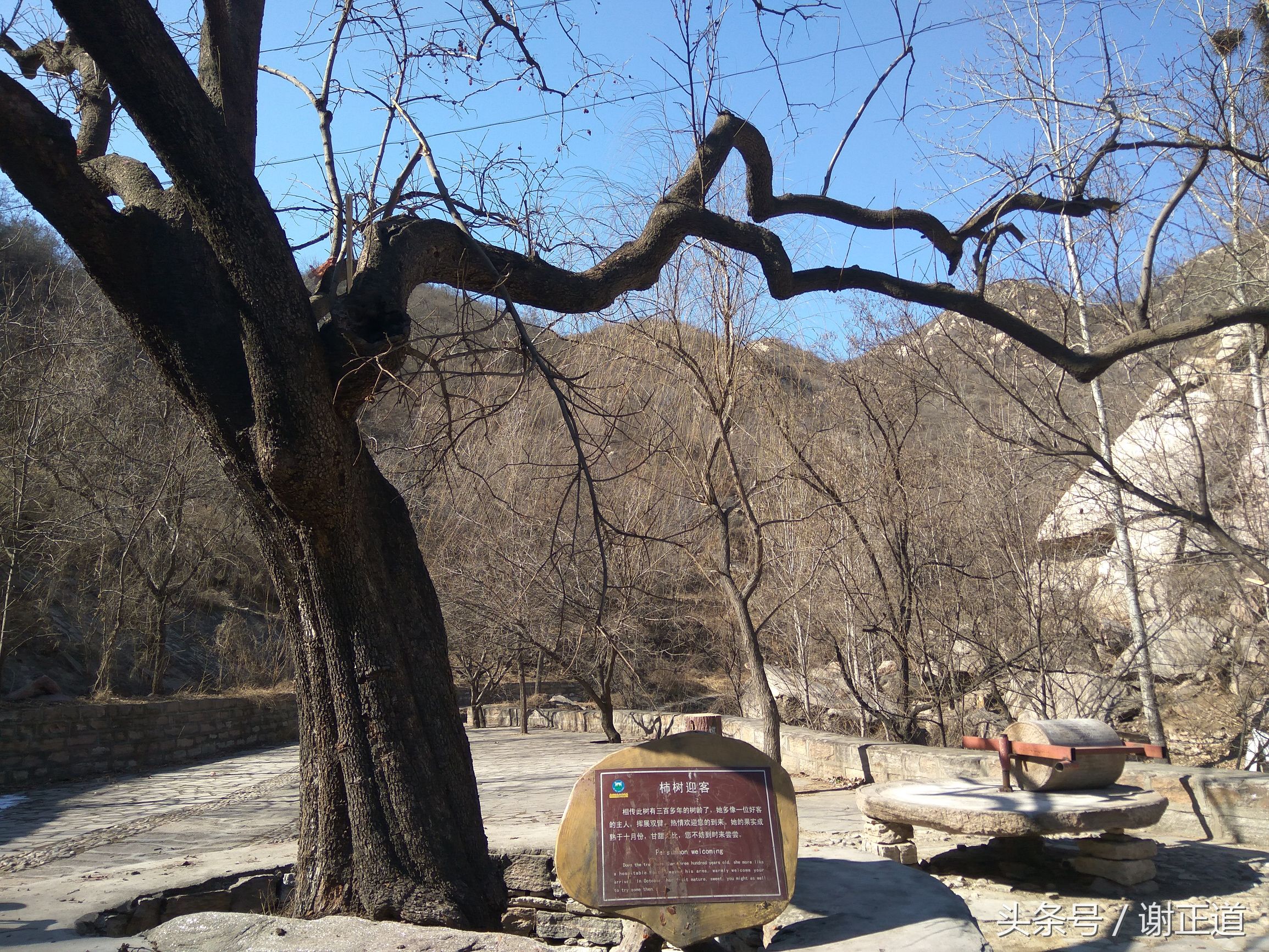 灵寿秋山风景区攻略,灵寿秋山自然风景区电话