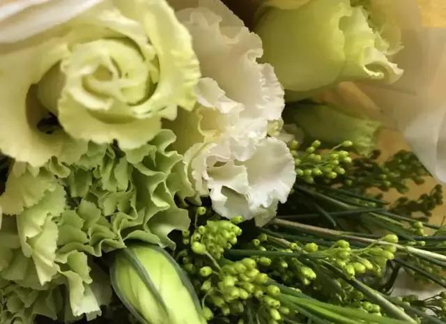 成都鲜花包月99每月4次,花费上万测评1个月