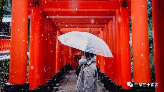 拉面 · 自动贩售机 · 雪｜云之彼岸的日本欢脱之旅