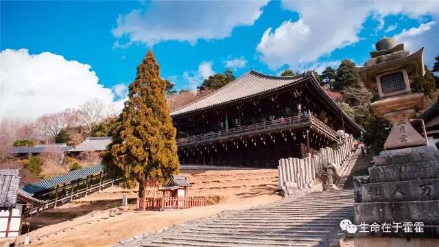 拉面 · 自动贩售机 · 雪｜云之彼岸的日本欢脱之旅
