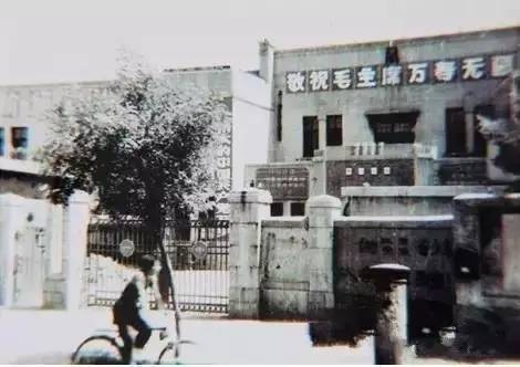 青岛最老的中学,青岛市内有几个百年学校