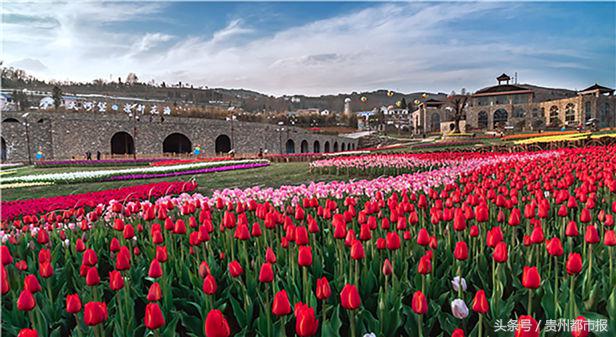 鑽峰叞鑺辨捣鐪嬮儊閲戦,鍘昏嵎鍏扮湅閮侀噾棣欏惂