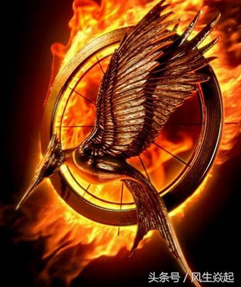 长航凤凰的财报,长航凤凰三季报