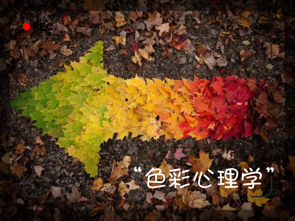 颜色心理学最吸引眼球的颜色,色彩心理学颜色搭配