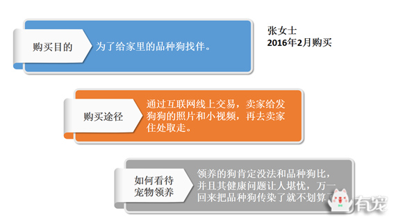 鐙楀競鎺㈣ (鎺㈣鐙楀競)