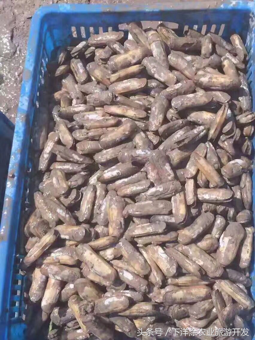 宁波海鲜餐排行榜第一名,宁波江北区海鲜排行榜前十名