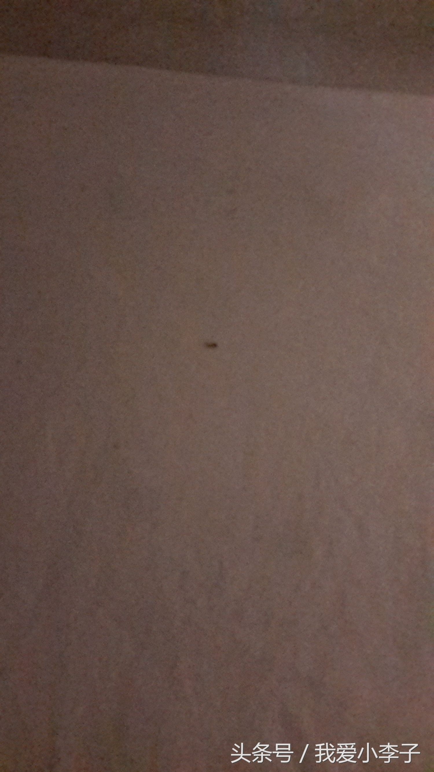 越南旅游住民宿和旅馆区别,越南旅游住公寓酒店怎么样