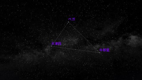 牛郎星属于哪个星座,织女星属于什么星座