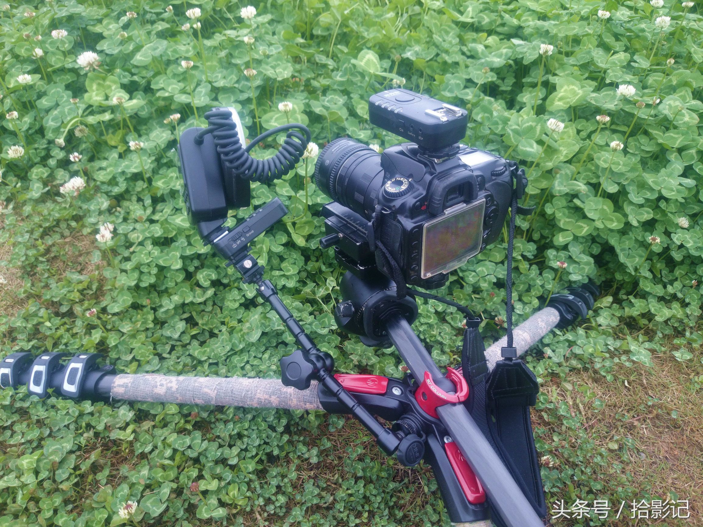 最好用的微距神器,平价微距镜头推荐