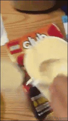 今天是我的这件衣服五岁的生日……