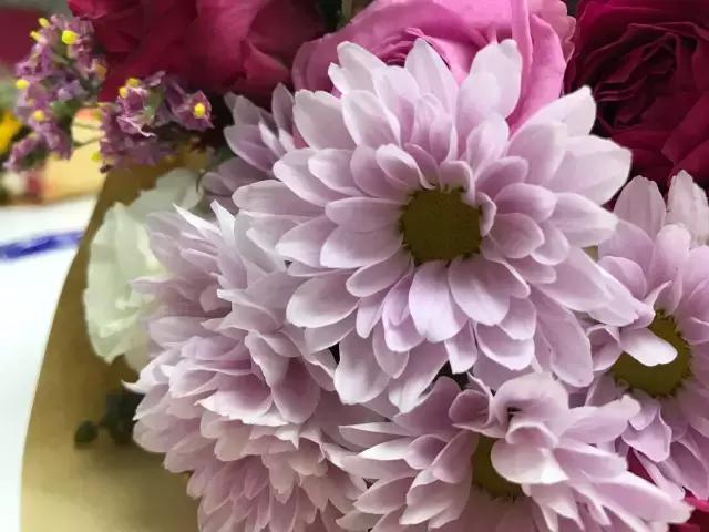 我们用1000元的教训告诉你:包月鲜花全是坑!一家都不推荐!