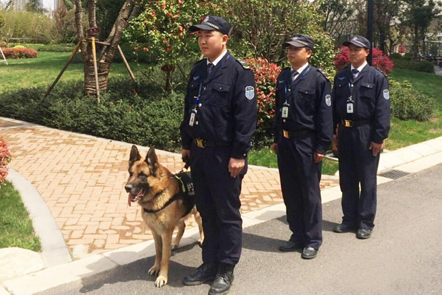 拎着小包包，带你去徐家汇撸美食啊