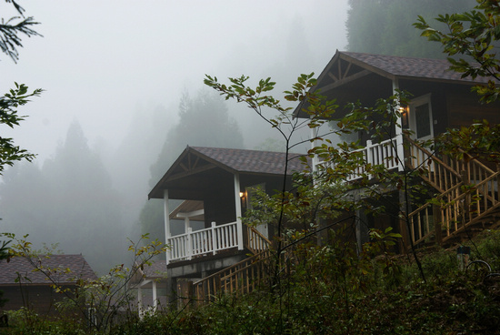 恩施森林旅游,恩施咸丰坪坝营旅游景点