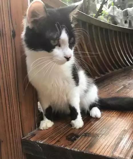 一起泡个温泉,温泉泡池冬天来一场暖暖温泉旅行