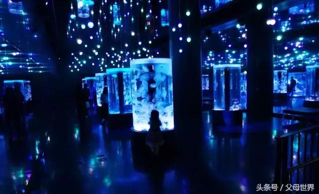 一个从来没用过童车的爸爸抱着孩子去日本水族馆吓人了!