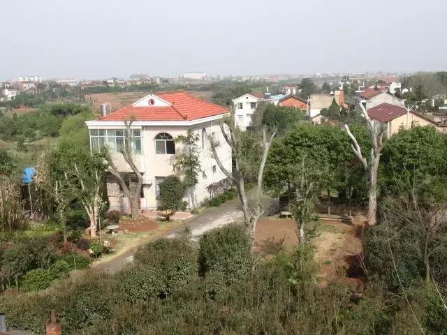 湖北孝昌今年美爆了！只因做了个“艰难的决定”