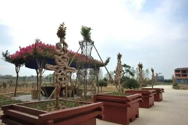 湖北孝昌今年美爆了！只因做了个“艰难的决定”