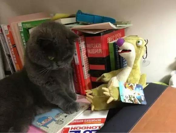 大连外国语大学现在让进吗,大连外国语大学怎么样了