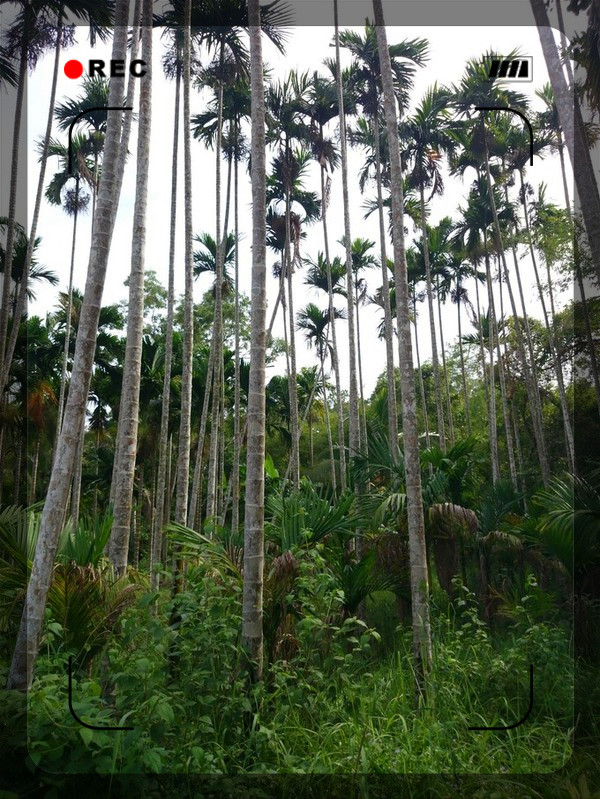 老海骑行海南,骑行海南与星辰大海相遇