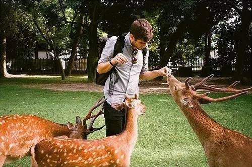 让图片超清晰的软件,一拍照就好看的美图软件