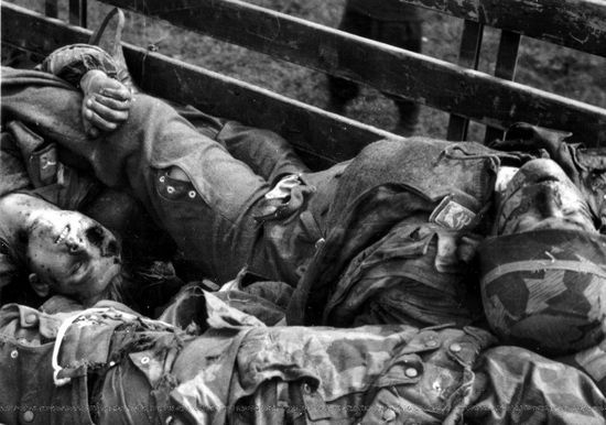 二战德军空降师绿魔鬼,二战德军伞兵的传奇之战