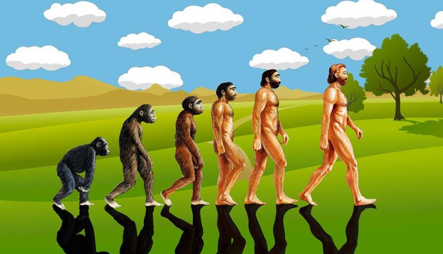 关于进化论的十五大误解,为什么很多人质疑进化论