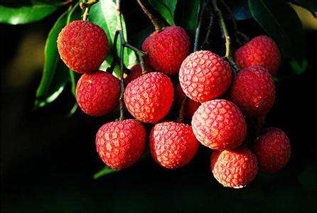 缺一不可!泉州特产大全,快收藏吧!