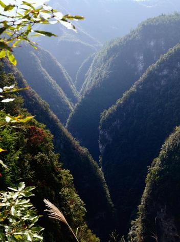 恩施利川石林旅游景点,恩施观音峡旅游攻略