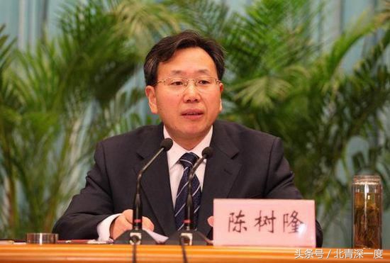 深度调查落马副省长陈树隆和他的三个“操盘手”