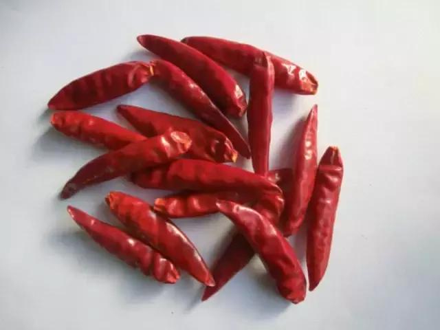 回南天防湿最好的方法,回南天防潮防湿有什么办法