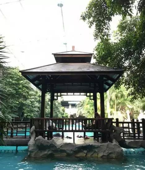 一起泡温泉的奢侈的享受,夏日一起泡温泉