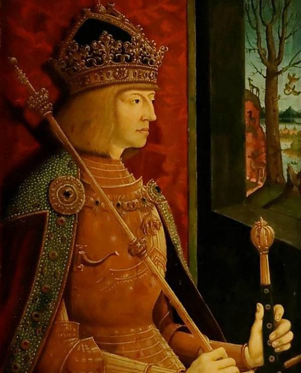 每日花语：3月22日锦葵-同日之星张梓琳（图）