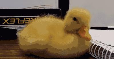 男女主人正在卿卿我我，狗狗一个嘴下来，又是一个措手不及