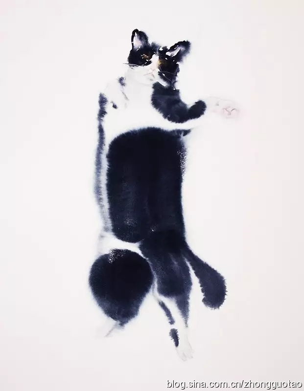 国画水墨写意猫,中国画水墨画猫