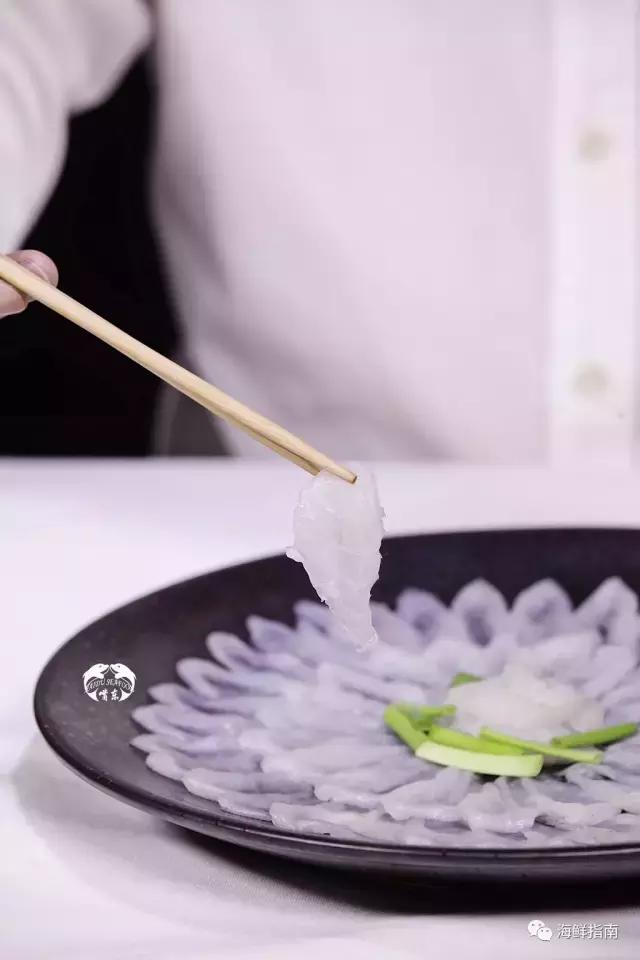 又到吃河鲀的时候了！河鲀起春岸，诱惑正当时