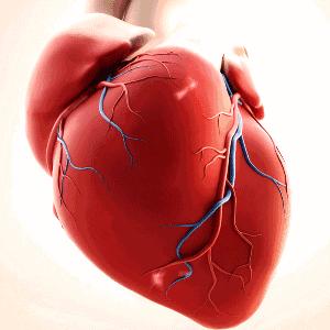 丙肝治疗吉三代贵吗,丙肝吉三代忌口食物一览表