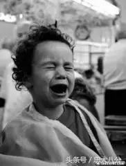 请耐心看完：一只家狗的自述