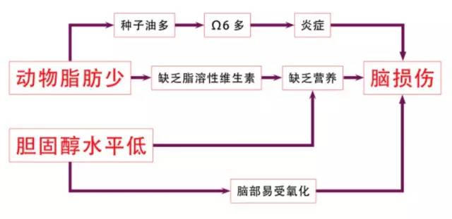 艺周荐｜揭秘《谷物大脑》养生宝典or科幻小说