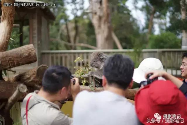 索尼a9拍摄剧照,我与索尼相机近20年的情缘