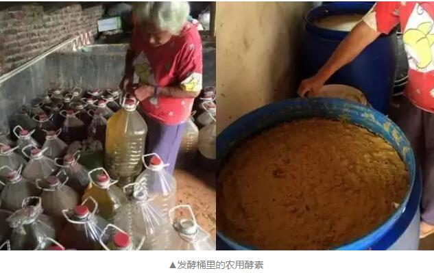 揭开酵素的神秘面纱,橙子酵素是什么