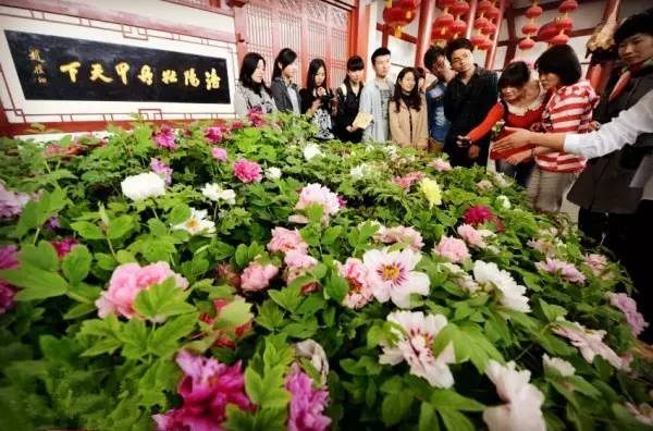 景区年票是怎么办理的,旅游年票的办理时间是多久