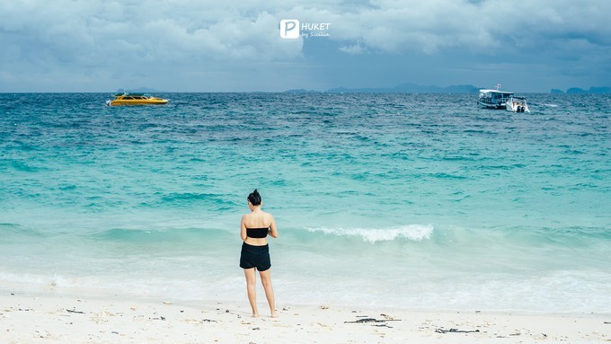 每当海岛又下起了雨,每当海岛又下起了雨读书笔记