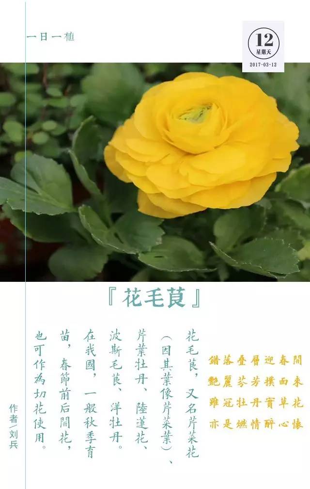 植树节为大自然增添一份绿,3月12日植树节简单小知识