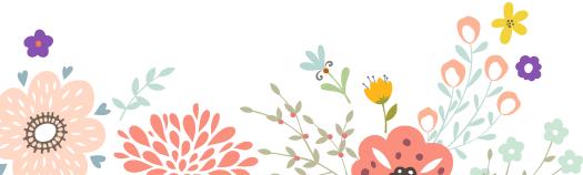 进口块根多肉植物,进口多肉植物哪里进货