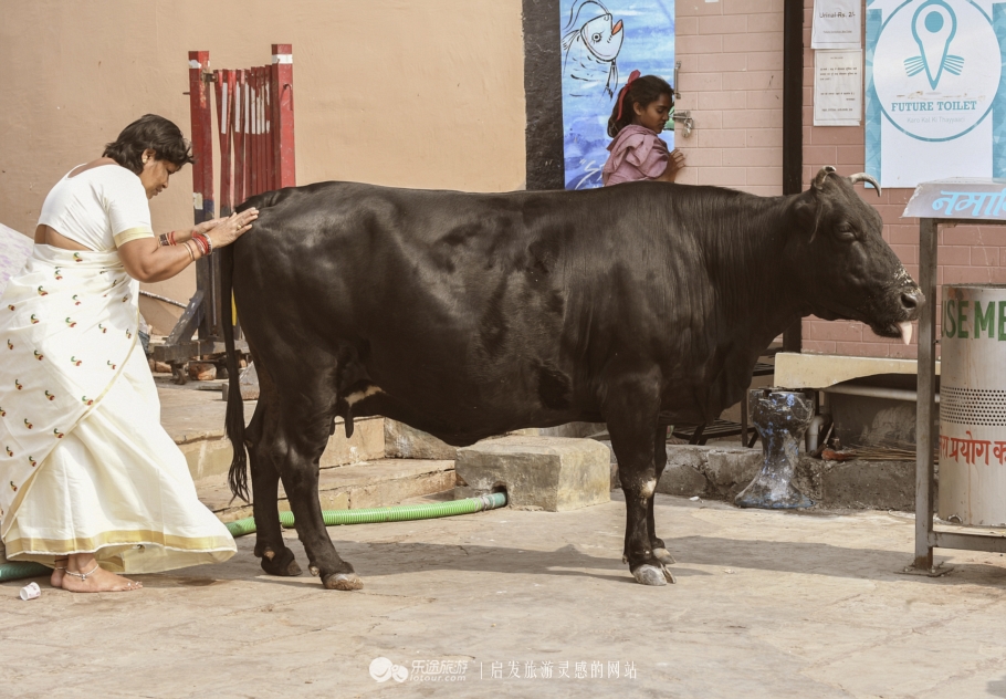 恒河祭祀,恒河夜晚宗教仪式