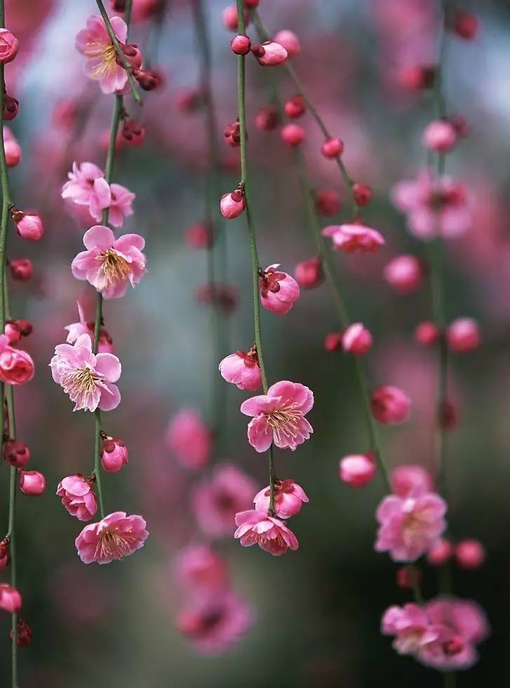 「诗词原创」闫鹏｜我辈当书胜绩激流犹待扬帆