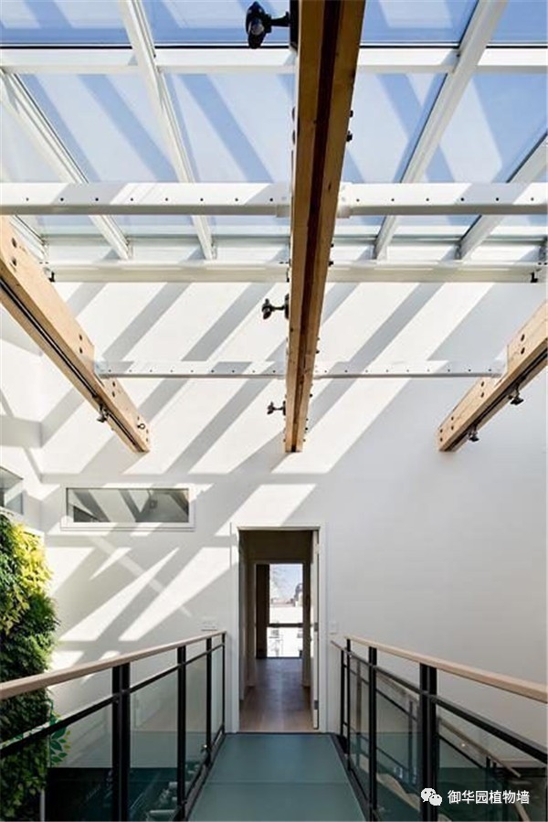 植物墙居家,特色植物墙