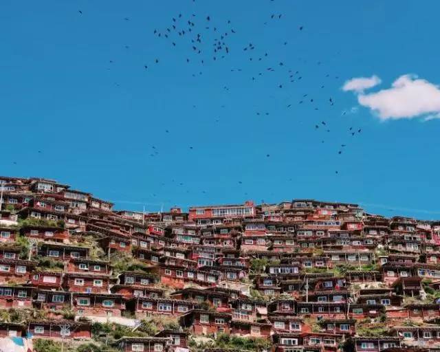 鑹茶揪涓瑰反浣涘浗涔嬫梾4鏃ユ父,涓瑰反鐜嚎4鏃ユ父