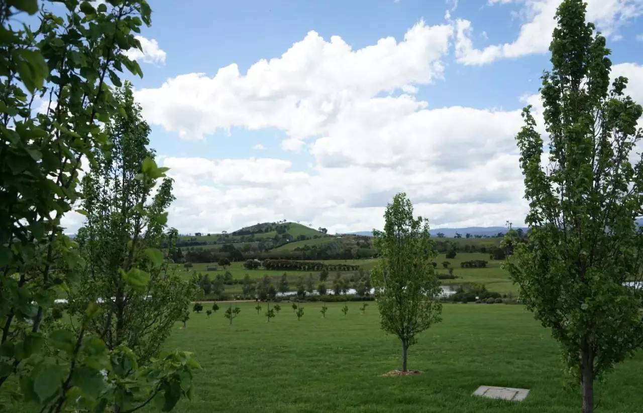 图说：在澳洲的日常（2）｜陈秋平