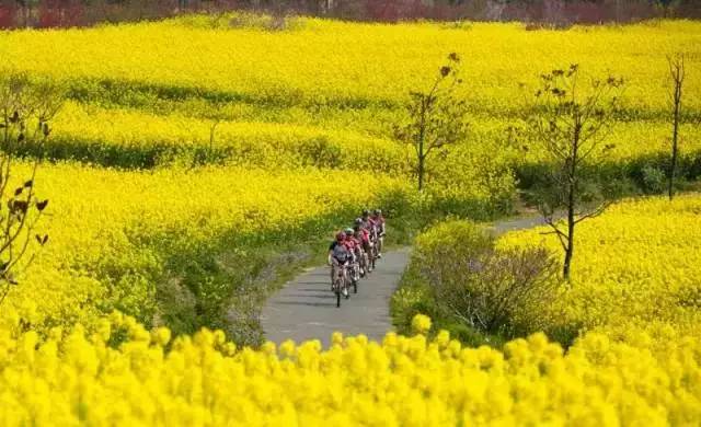 震惊！常州这些地方竟然这么黄！